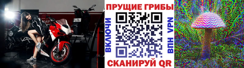 Купить где  Выкса  Псилоцибиновые грибы Magic Shrooms 