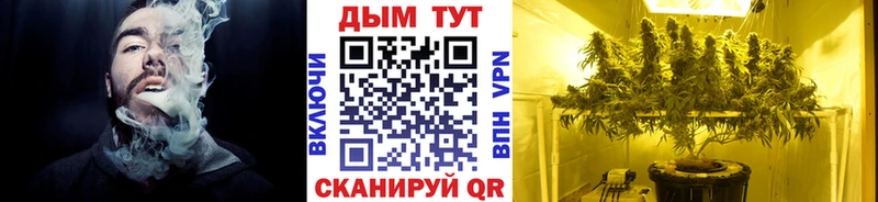 Шишки марихуана конопля  Купить  Выкса 